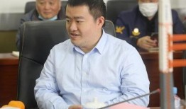 刘振最新爆料新闻视频,揭秘事件背后惊人内幕